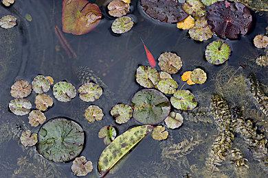 Fami通新一周销量榜 《喷射战士3》六连冠